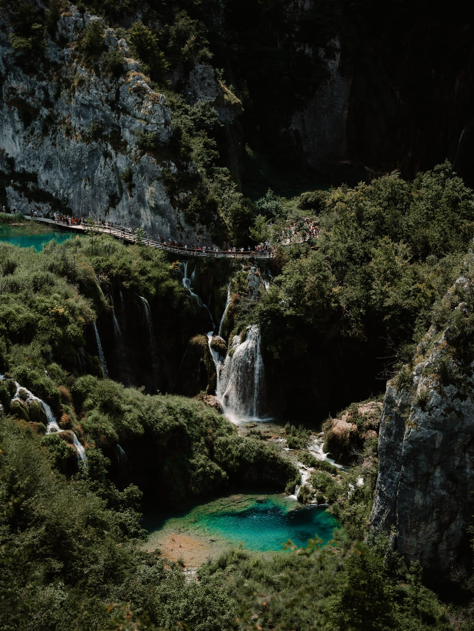 trip photo