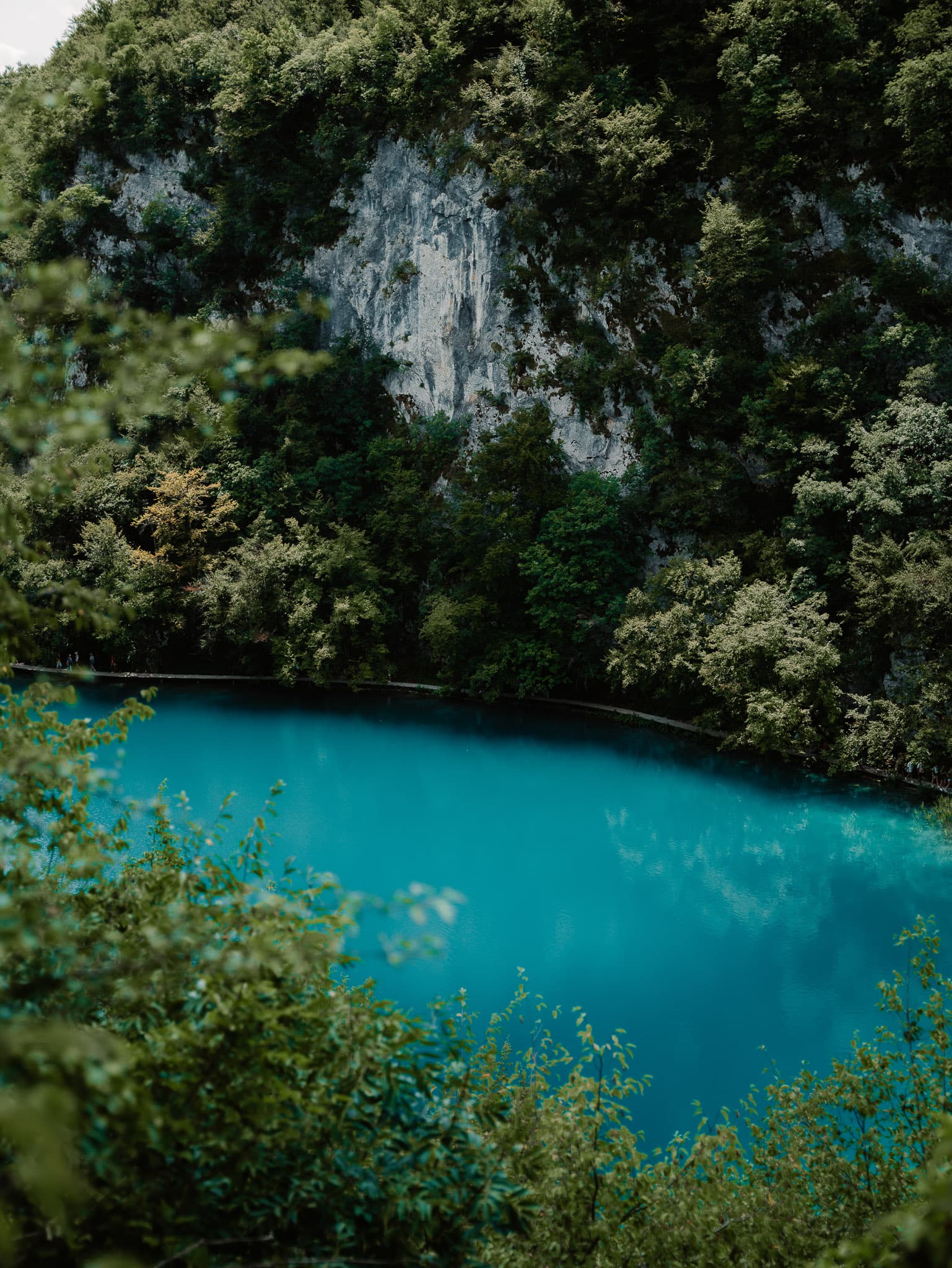 trip photo